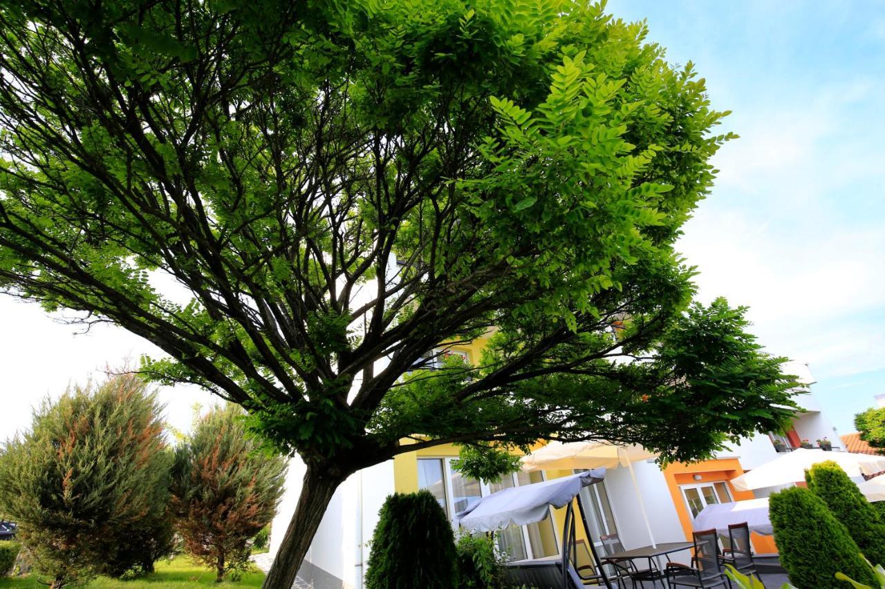 Stayinn Rainbow Houses Beachfront By Asteri Hotels 써니비치 외부 사진